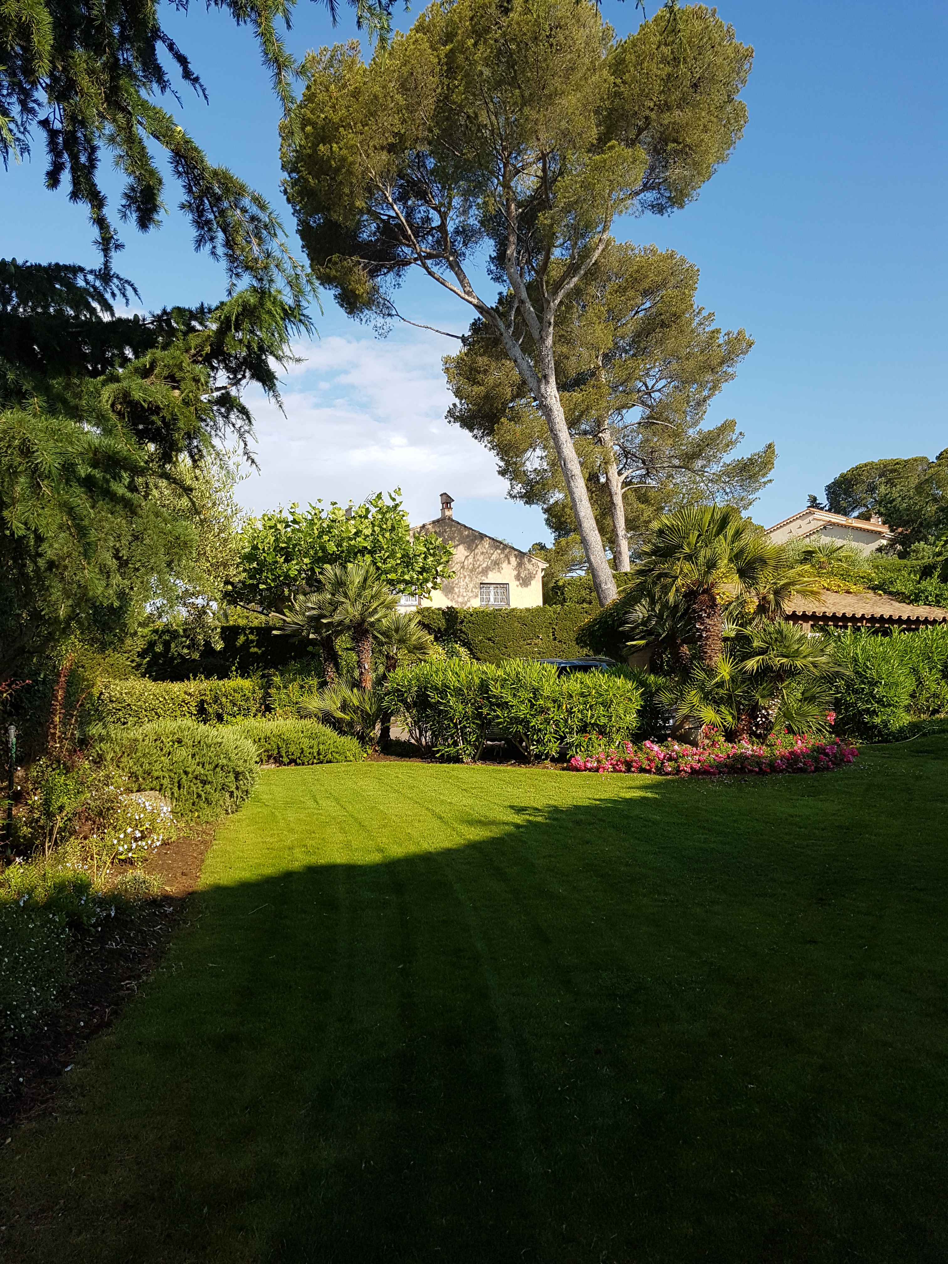 jardinier-paysagiste-saint-raphael