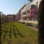 entretien-de-jardin-puget-sur-argens