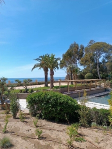 Entretien des espaces verts bord de mer