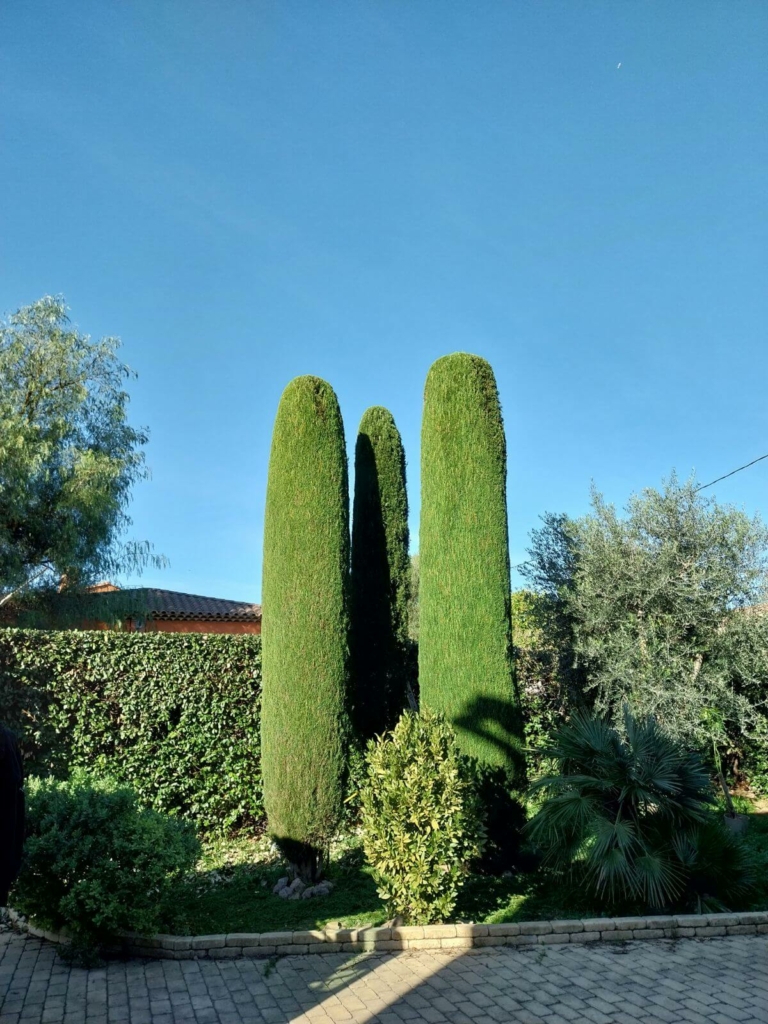 entretien-jardin-le-muy